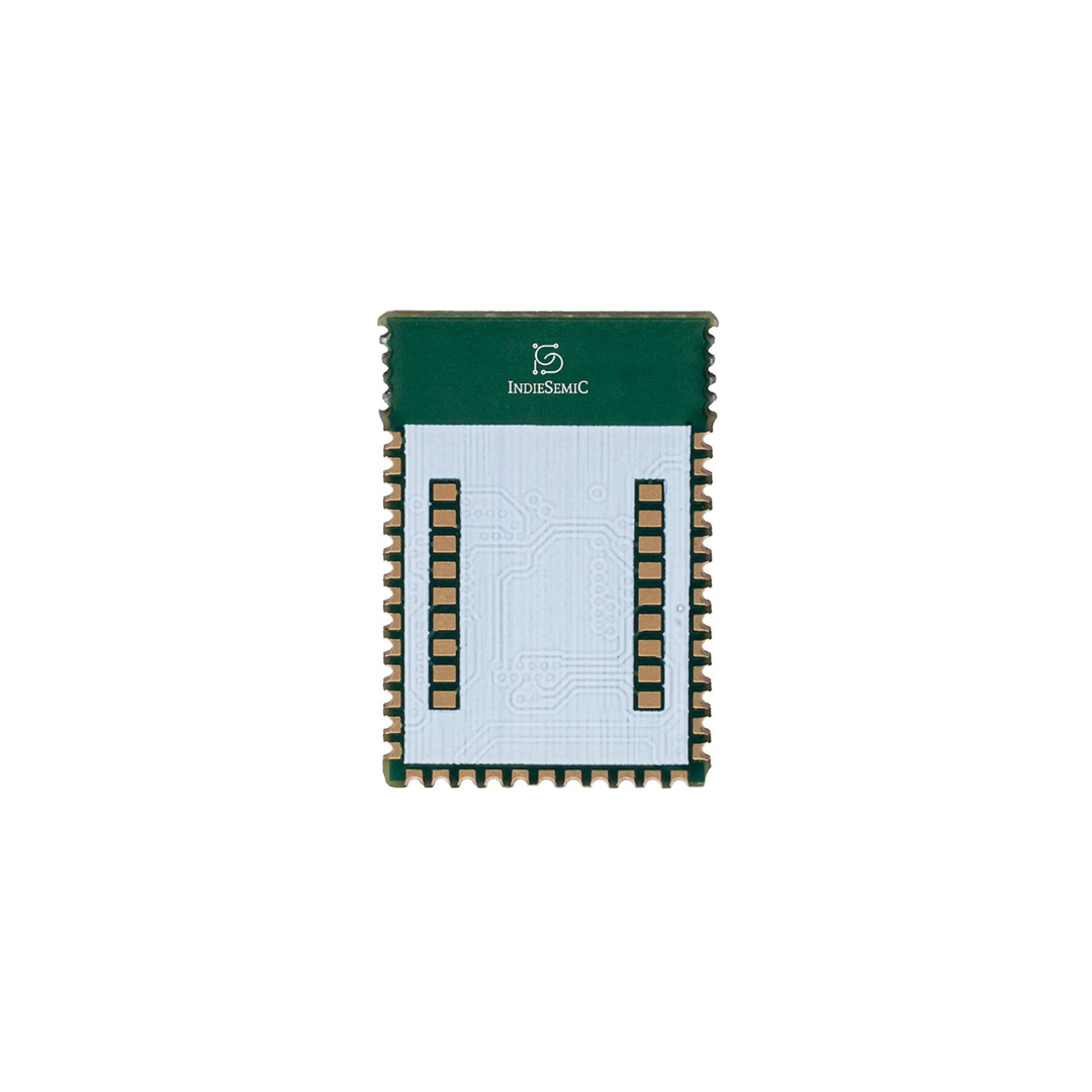 nRF52840 Multiprotocol BLE, 2.4GHz Module IPEX Antenna