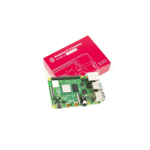 Raspberry Pi 4 Model B with 2 GB RAM