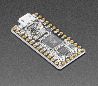 Adafruit ItsyBitsy R...