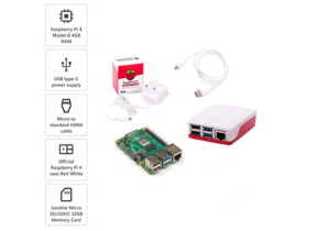 Raspberry Pi 4 Model B 8GB Starter Kit