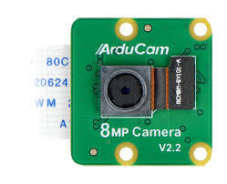 Arducam IMX219 1080P Raspberry Pi Camera Module with ABS Case