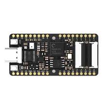 Sipeed BL808 M1s RISC-V Module with WIFI / BT for IoT Smart Home