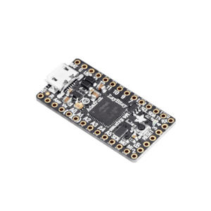 ItsyBitsy M4 Express featuring ATSAMD51