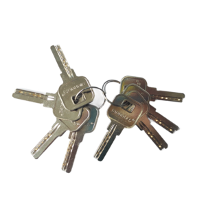 12V 8-Key Electric Access Control Rim Lock