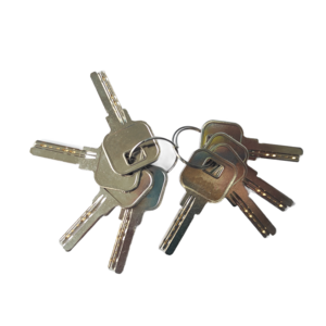 Electric Rim Lock 12V with 8 Keys | Heavy Duty Electric Door Lock for Home & Office