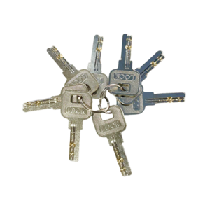 jiSECURE Electric Rim Lock 12V with 8 Keys