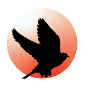 Gyrfalcon