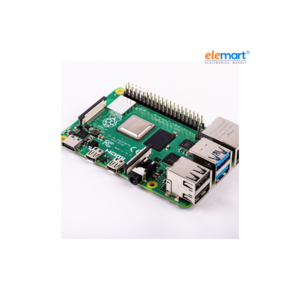 Raspberry Pi 4 Model B with 2 GB RAM