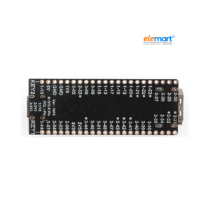 Lichee Tang Nano 4K FPGA GoAI Development Board with OV2640 Camera